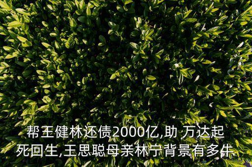 幫王健林還債2000億,助 萬(wàn)達(dá)起死回生,王思聰母親林寧背景有多牛