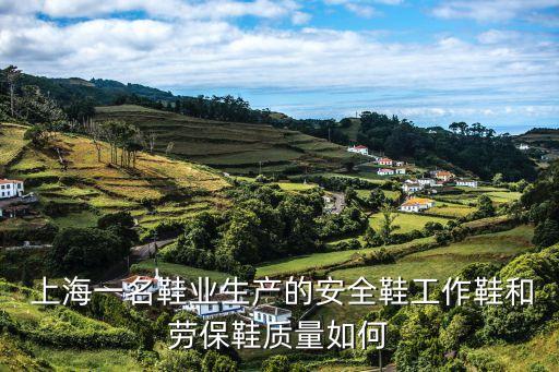 上海檢驗(yàn)檢疫局局長徐金記