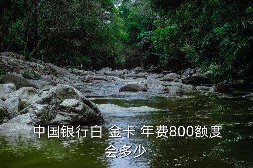  中國銀行白 金卡 年費(fèi)800額度會多少