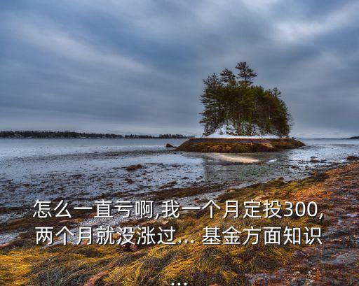 怎么一直虧啊,我一個(gè)月定投300,兩個(gè)月就沒漲過(guò)... 基金方面知識(shí)...