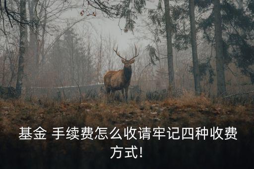  基金 手續(xù)費怎么收請牢記四種收費方式!