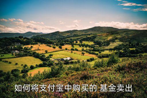 如何將支付寶中購(gòu)買(mǎi)的 基金賣(mài)出