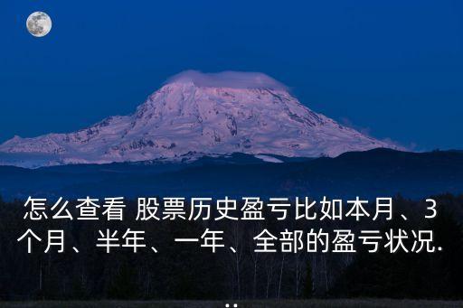 怎么查看 股票歷史盈虧比如本月、3個月、半年、一年、全部的盈虧狀況...