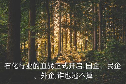 石化行業(yè)的血戰(zhàn)正式開啟!國企、民企、外企,誰也逃不掉