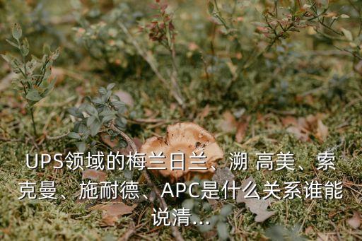UPS領(lǐng)域的梅蘭日蘭、溯 高美、索克曼、施耐德、APC是什么關(guān)系誰能說清...