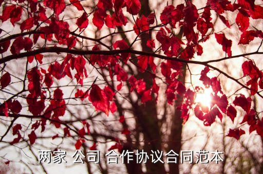 公司與公司合作成立部門協(xié)議書,公司把一個部門單獨(dú)成立公司