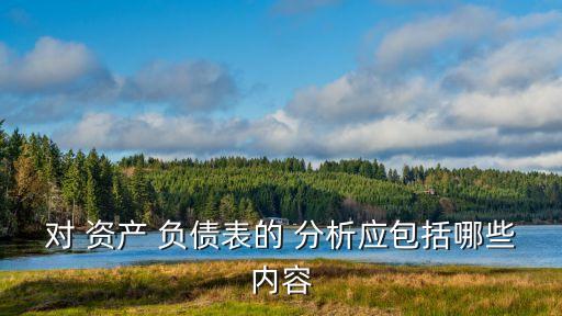 對 資產(chǎn) 負債表的 分析應(yīng)包括哪些內(nèi)容