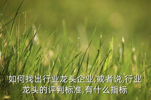 如何找出行業(yè)龍頭企業(yè),或者說,行業(yè)龍頭的評(píng)判標(biāo)準(zhǔn),有什么指標(biāo)