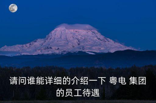 請(qǐng)問(wèn)誰(shuí)能詳細(xì)的介紹一下 粵電 集團(tuán)的員工待遇