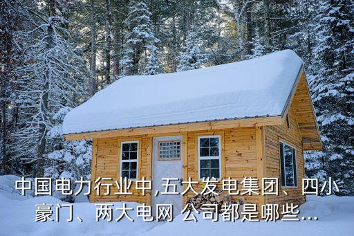 中國電力行業(yè)中,五大發(fā)電集團、四小豪門、兩大電網(wǎng) 公司都是哪些...