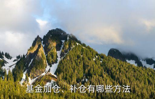  基金加倉、補(bǔ)倉有哪些方法