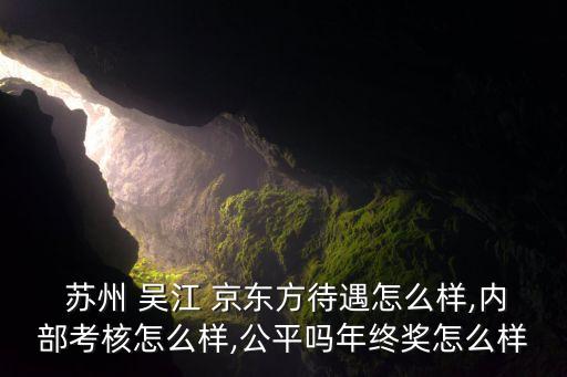  蘇州 吳江 京東方待遇怎么樣,內(nèi)部考核怎么樣,公平嗎年終獎怎么樣
