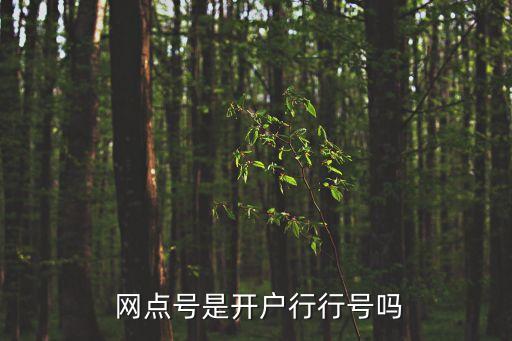  網(wǎng)點(diǎn)號(hào)是開(kāi)戶(hù)行行號(hào)嗎