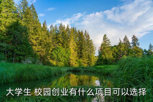 大學生 校園創(chuàng)業(yè)有什么項目可以選擇