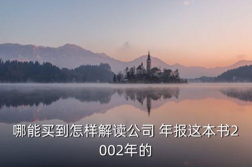 金豐投資2013年報