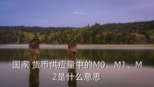 國家 貨幣供應(yīng)量中的M0、M1、M2是什么意思