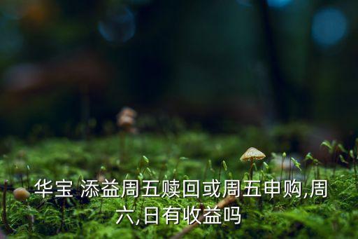  華寶 添益周五贖回或周五申購,周六,日有收益嗎