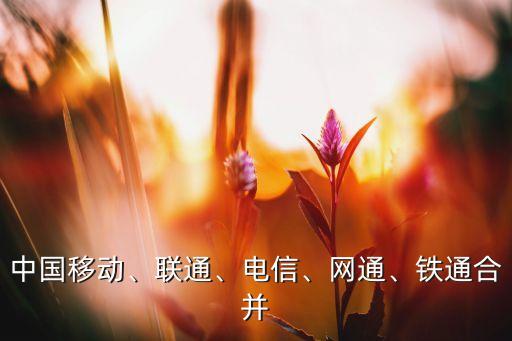 中國(guó)移動(dòng)、聯(lián)通、電信、網(wǎng)通、鐵通合并