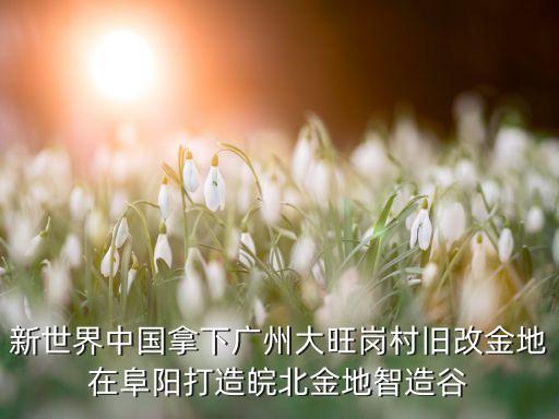 金地集團(tuán)陽侃,麥金地集團(tuán)