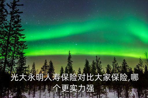  光大永明人壽保險(xiǎn)對比大家保險(xiǎn),哪個(gè)更實(shí)力強(qiáng)