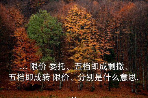 ... 限價 委托、五檔即成剩撤、五檔即成轉(zhuǎn) 限價、分別是什么意思...