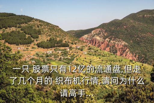 一只 股票只有12億的流通盤,但走了幾個(gè)月的 織布機(jī)行情,請問為什么請高手...