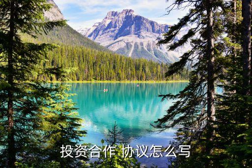 投資合作 協(xié)議怎么寫