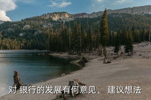 對 銀行的發(fā)展有何意見、 建議想法