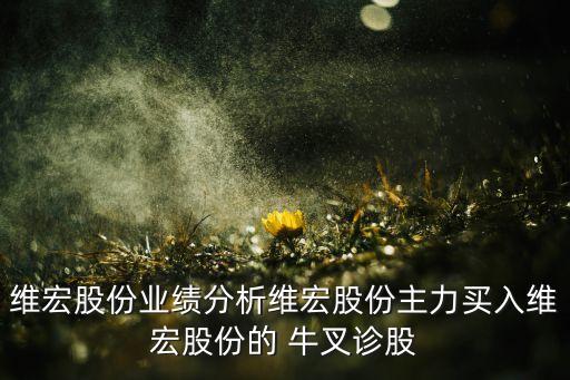 維宏股份業(yè)績(jī)分析維宏股份主力買入維宏股份的 牛叉診股