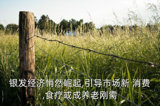 銀發(fā)經(jīng)濟(jì)悄然崛起,引導(dǎo)市場(chǎng)新 消費(fèi),食療或成養(yǎng)老剛需