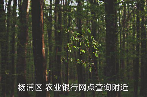 上海農業(yè)銀行漕溪路支行4000萬,農業(yè)銀行漕溪路支行電話
