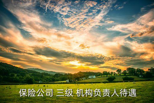  保險公司 三級 機構(gòu)負責人待遇