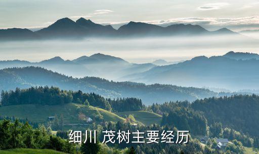 細(xì)川 茂樹主要經(jīng)歷