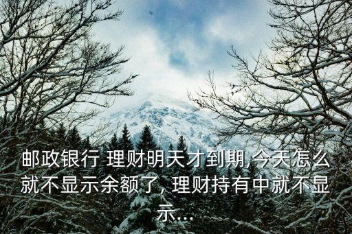 中國銀行業(yè)理財(cái)市場(chǎng)年度報(bào)告2012