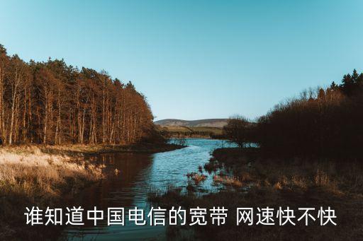 誰(shuí)知道中國(guó)電信的寬帶 網(wǎng)速快不快