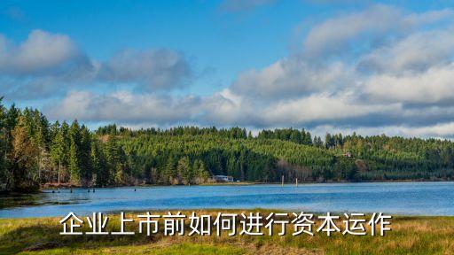 資產注入合資公司