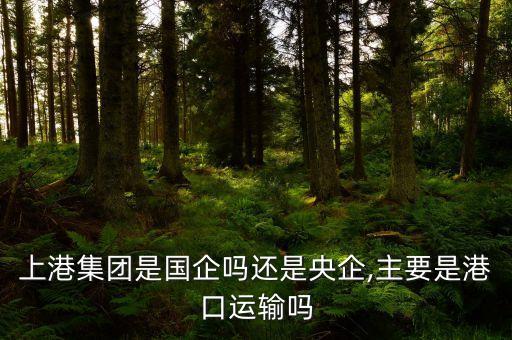 上港集團(tuán)是國企嗎還是央企,主要是港口運(yùn)輸嗎