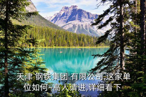  天津 鋼鐵集團 有限公司,這家單位如何~高人請進,詳細看下