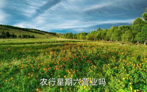 農(nóng)行星期六營(yíng)業(yè)嗎