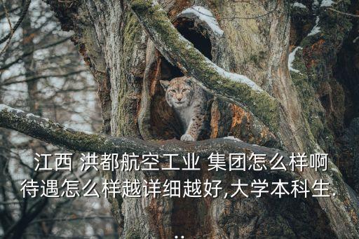  江西 洪都航空工業(yè) 集團怎么樣啊待遇怎么樣越詳細越好,大學本科生...