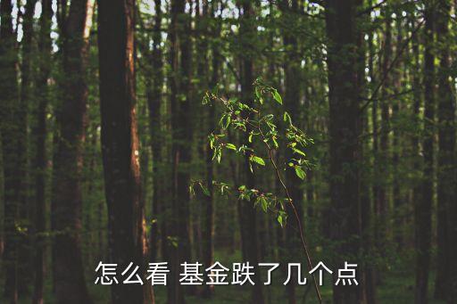 怎么看 基金跌了幾個(gè)點(diǎn)