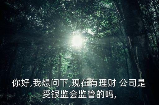 你好,我想問下,現(xiàn)在有理財(cái) 公司是受銀監(jiān)會監(jiān)管的嗎,