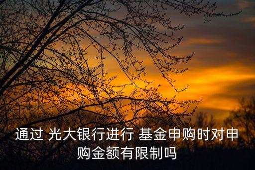 通過 光大銀行進(jìn)行 基金申購時(shí)對(duì)申購金額有限制嗎