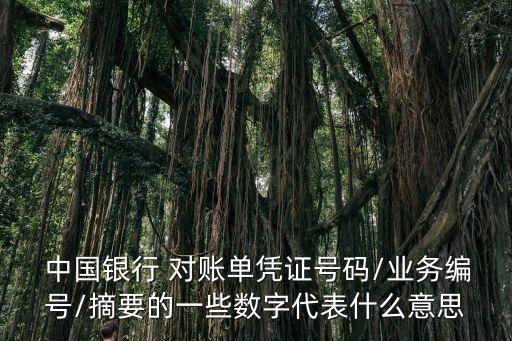  中國銀行 對賬單憑證號碼/業(yè)務編號/摘要的一些數(shù)字代表什么意思