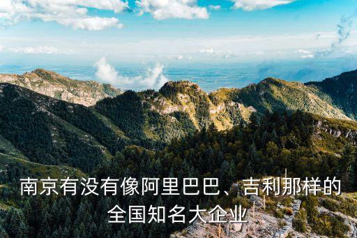  南京有沒(méi)有像阿里巴巴、吉利那樣的全國(guó)知名大企業(yè)