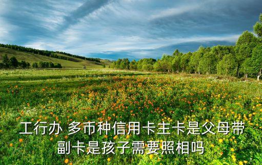  工行辦 多幣種信用卡主卡是父母帶副卡是孩子需要照相嗎