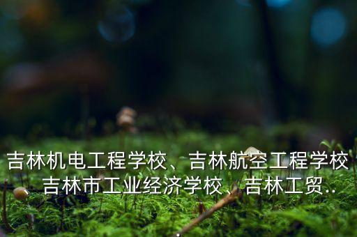 吉林機電工程學校、吉林航空工程學校、吉林市工業(yè)經(jīng)濟學校、吉林工貿(mào)...