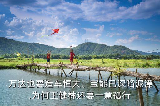 萬(wàn)達(dá)集團(tuán)2013年財(cái)報(bào)