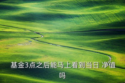 當天基金凈值公布時間,519695基金當天凈值