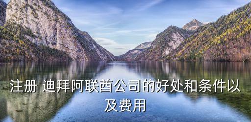 注冊 迪拜阿聯(lián)酋公司的好處和條件以及費用